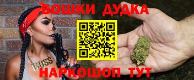 тгк Бердск