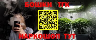 тгк Бердск