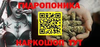 тгк Бердск