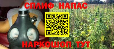 тгк Бердск
