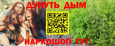 тгк Бердск
