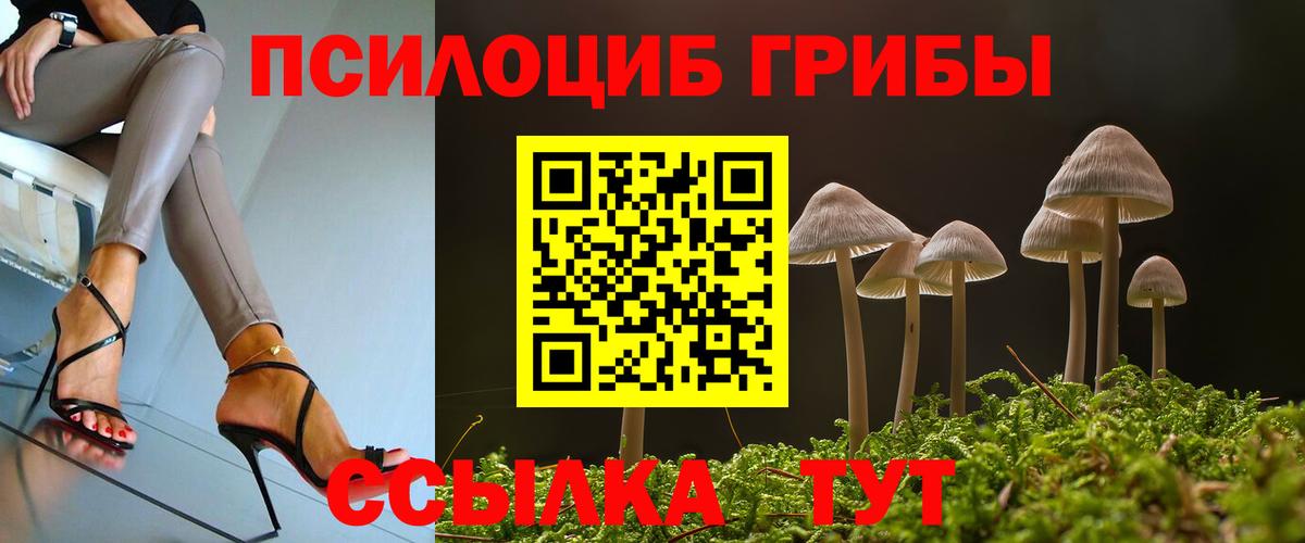 Галлюциногенные грибы Cubensis  Псилоцибиновые грибы Cubensis  закладки  Вход с VPN  Великий Устюг 