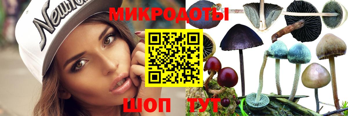 Псилоцибиновые грибы MAGIC MUSHROOMS Великий Устюг